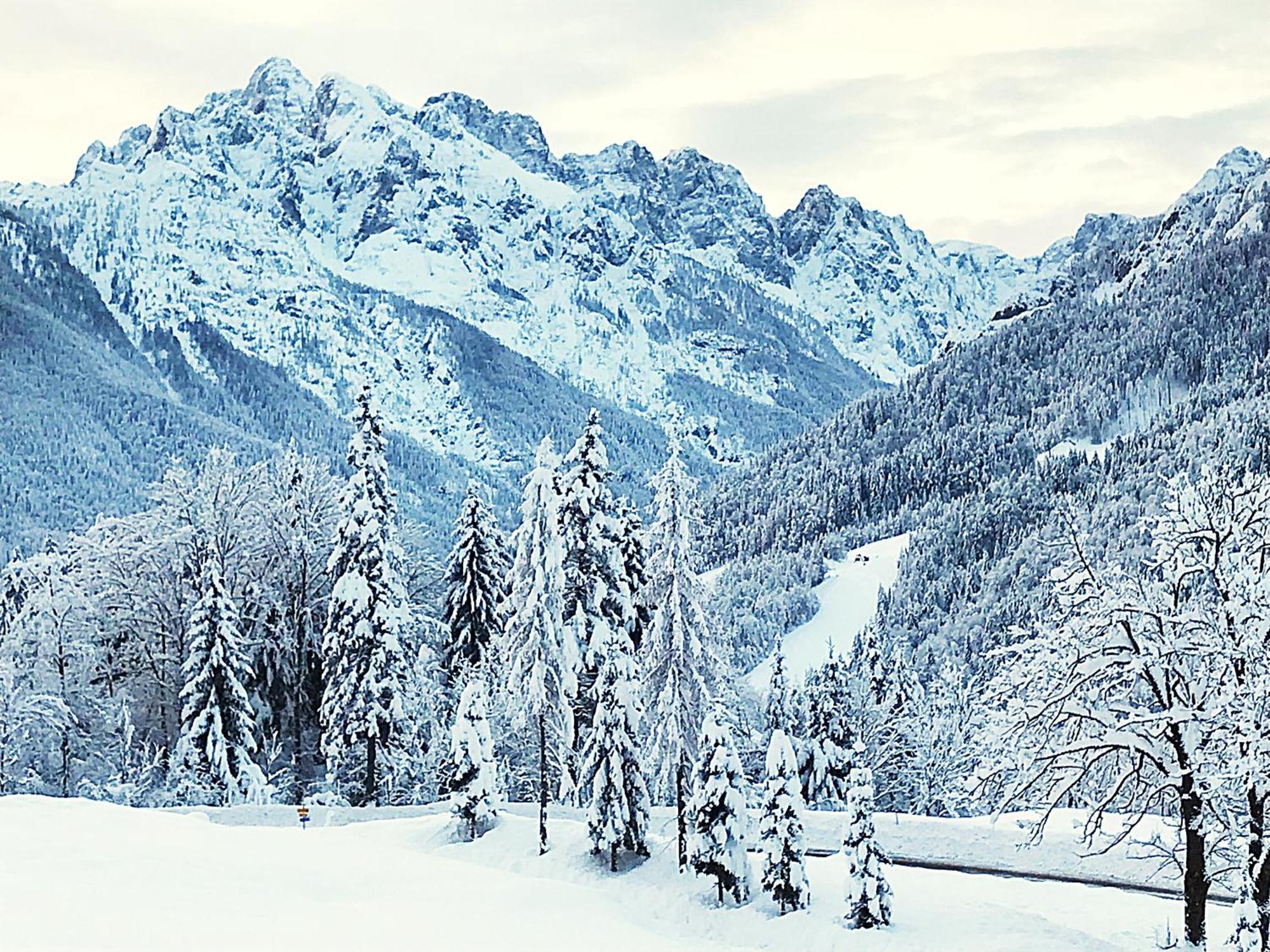 Pr'Gavedarjo Eco Heritage B&B Kranjska Gora Luaran gambar